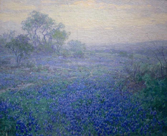 Julian Onderdonk Cloudy Day. Bluebonnets near San Antonio, Texas oil painting picture